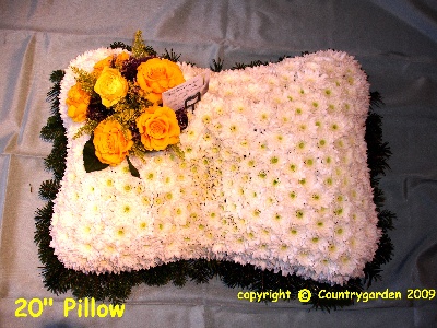 pillow W P 1